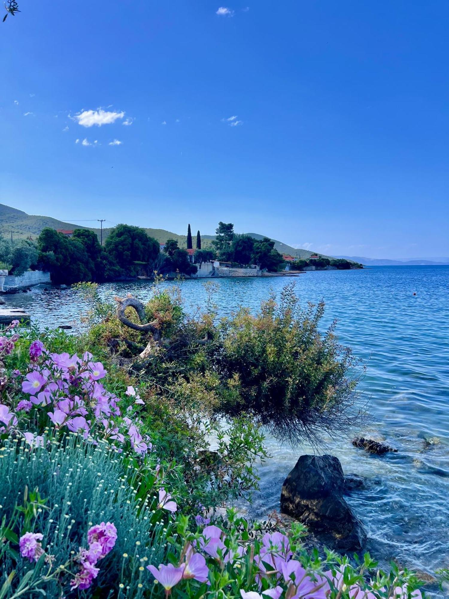 Villas Nies Sourpi Esterno foto